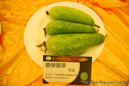 中薯5号土豆新闻资讯