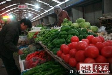 京津冀西甜瓜产业实现协同发展（图）