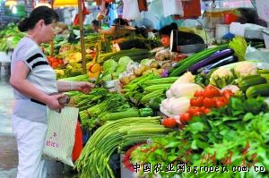 新疆礼品蔬菜销量下降 节前菜价低于往年