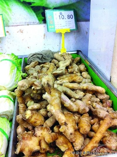 黄皮红瓤红薯什么品种