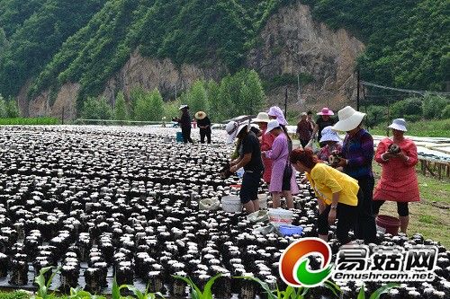 贵州中科化肥有限公司