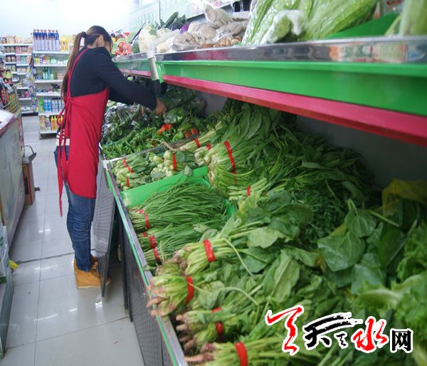 北京553红薯育苗技术
