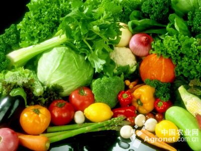 花椰菜病虫害及防治