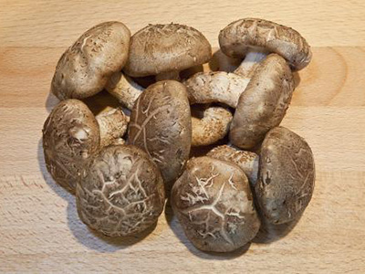 荷兰15土豆种植技术