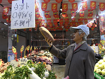 北京红辣椒种子公司