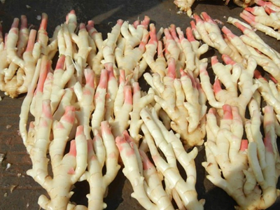 老红瓤红薯施肥技术