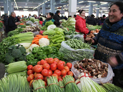 银丝菜种子多少钱一斤