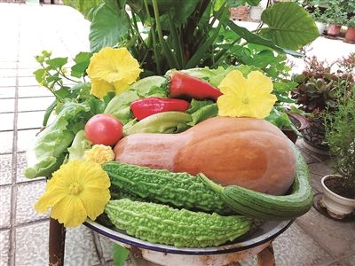 2亩菠菜要施肥1千克