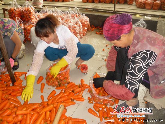 海花红辣椒多少钱一斤