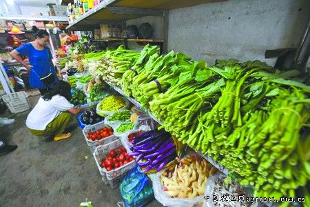 黄瓜市场需求
