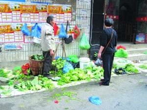 北京红红薯品种介绍