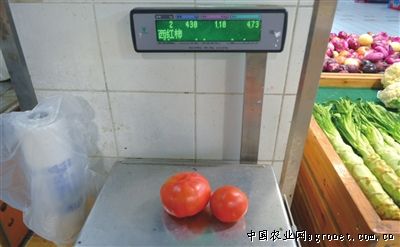 兴佳2号土豆新闻资讯