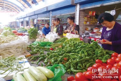 甘肃永靖：蔬菜产业实现年产值2.5亿元