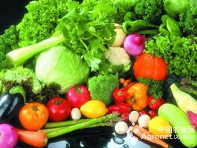 水果芹菜病虫害及防治