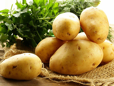 土豆减肥还是增肥