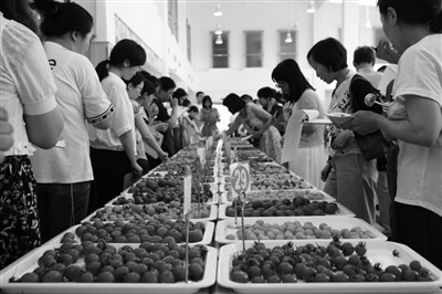 香港红红薯批发市场