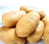 供应马铃薯（土豆）豌豆角  