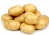 供应优质精选土豆