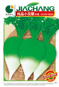 供应纯品小花缨芥菜--芥菜种子