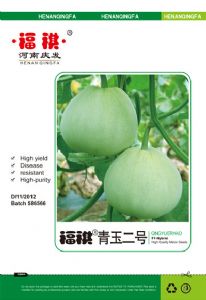 供应福祺青玉二号—甜瓜种子