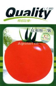 供应红彤彤二号—番茄种子