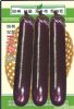 供应玉珍紫茄—茄子种子