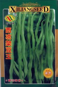供应西凉架豆王—菜豆种子