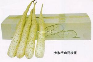 供应日本大和芋—山药种子