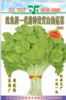 改良新一代台湾圆叶淡黄白苋菜(999)—白苋菜种子
