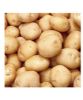 供应早大白—土豆种子
