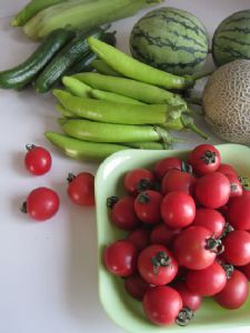 供应蔬菜组合装茄子，黄瓜，西瓜，番茄