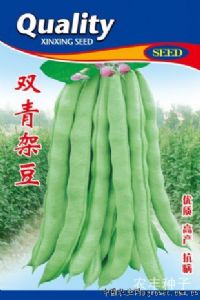 供应双青12——菜豆种子