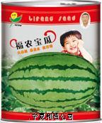 供应福农宝瓜—西瓜种子
