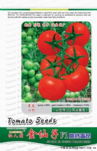 供应金仙子番茄—番茄种子