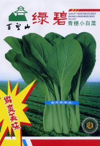 供应绿碧青梗小白菜—青梗菜种子