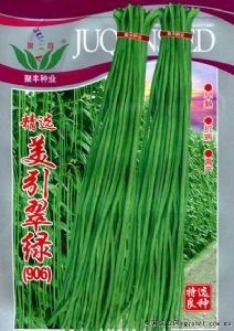 供应美引翠绿（906）—豇豆种子
