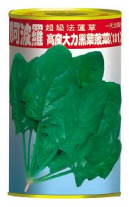 供应阿波罗罐装—菠菜种子