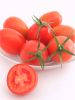 供应9102—罗曼型番茄种子