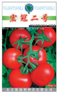 供应宏冠二号——番茄种子