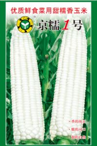 供应京糯一号—菜用玉米种子