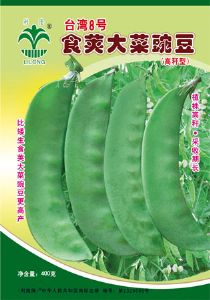 台湾8号食荚大菜豌豆--豌豆种子