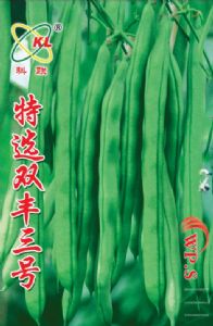 供应特选双丰三号—菜豆种子