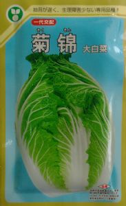 供应菊锦—白菜种子