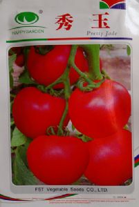 供应秀玉-番茄种子