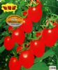 供应红精灵-番茄种子