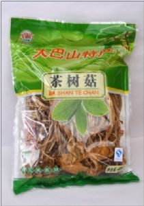 供应野生食用菌茶树菇