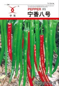 供应宁香八号—辣椒种子