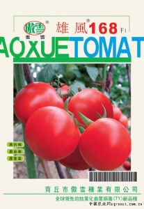 供应雄风168F1—番茄种子
