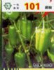 供应101甜椒—甜椒种子