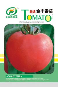 供应新选金丰番茄—番茄种子
